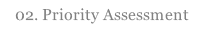 02. Priority Assessment