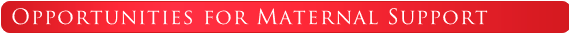 Opportunities for Maternal Support